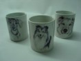 Colección Canino